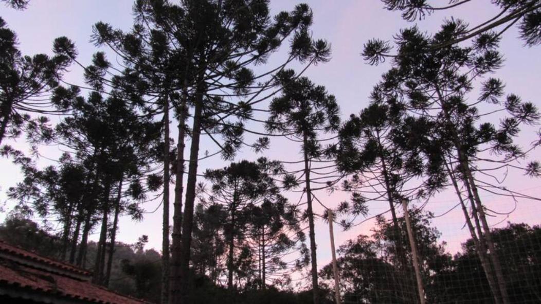 Chacara Capucho & Macedo Villa Cunha Kültér fotó